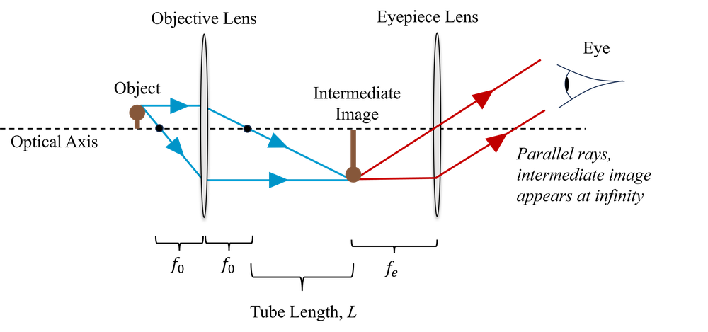 Diagram showing a compound microscopy made up of two lenses