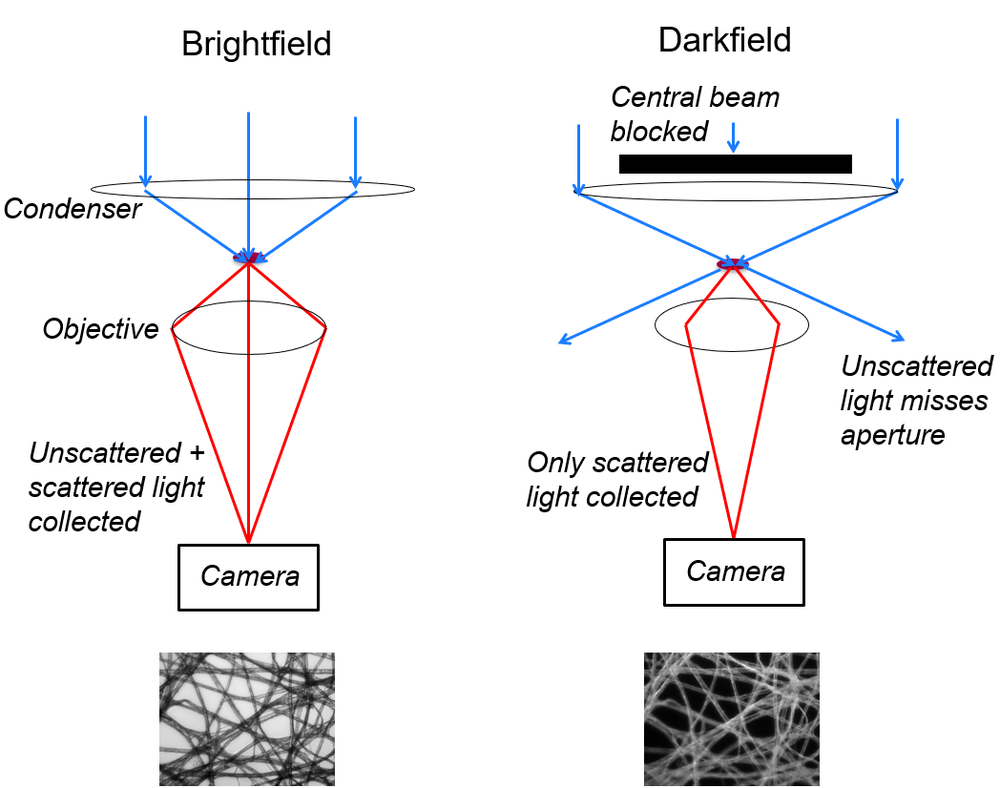 Diagrams showing brightfield and darkfield microscopes.